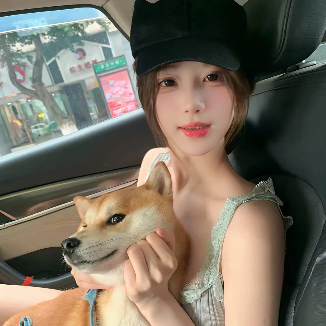 飞蛾日记