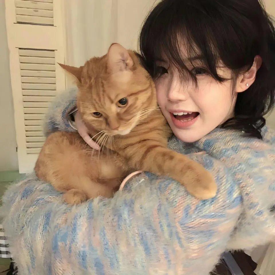 龙猫