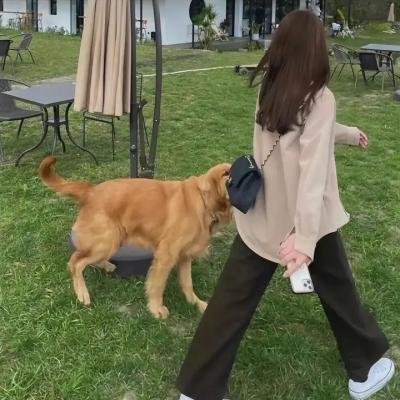 义父情真